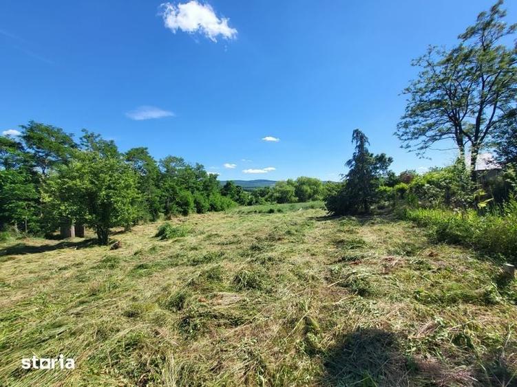 Direct proprietar Vand teren ciurea - 3