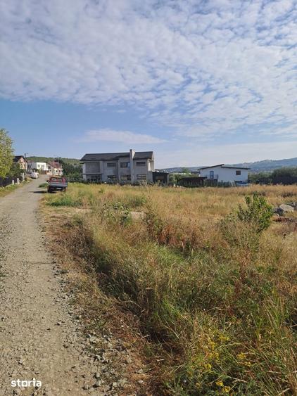 Teren de 25000 mp, în Central