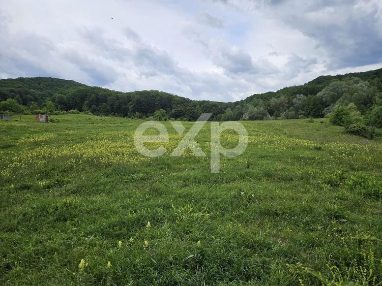 Teren agricol extravilan de 11935 mp, în Mărgineni