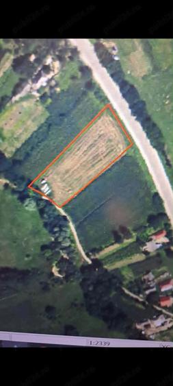 Teren de 3600 mp, în Probota