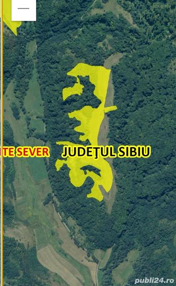 Teren de 124000 mp, în Șeica Mare
