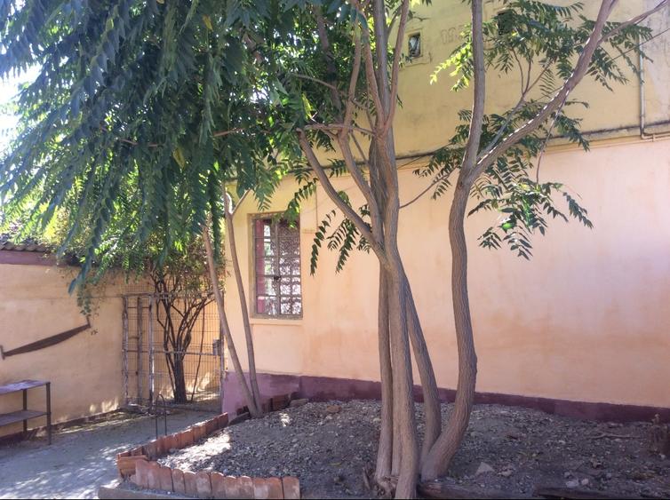 Casă individuală cu 3 camere cu Teren 3300 Mp în Central