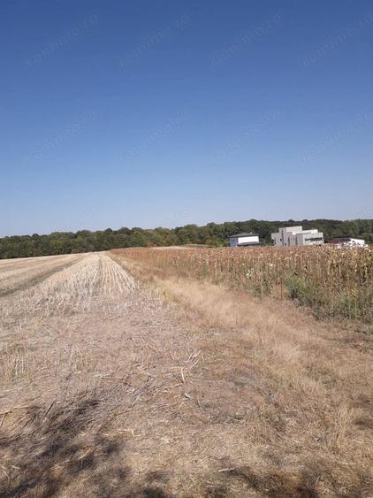 Teren de 5800 mp, în Moara Vlăsiei