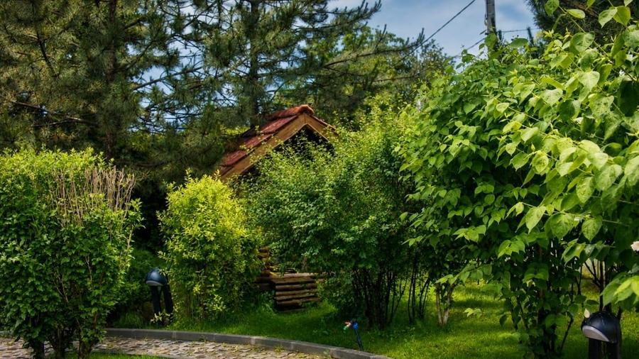 Casă individuală cu 8 camere cu Canalizare în Corbeanca