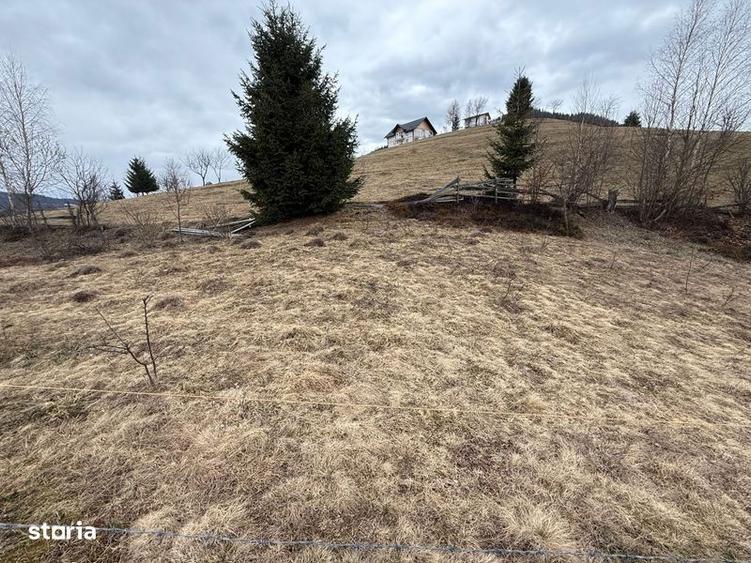 Teren de 1700 mp, în Albac