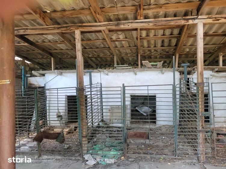 Casă cu 5 camere cu Teren 1300 Mp în Salcia