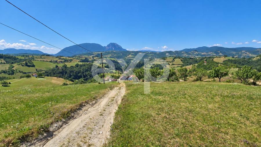 Teren agricol extravilan de 1061 mp, în Poiana Mărului
