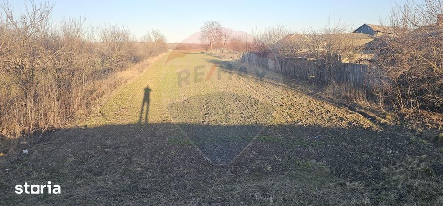 Teren de 6972 mp, în Găiceana