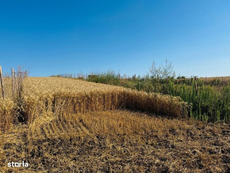 15000mp Horlesti Breazu , zona case noi - 1