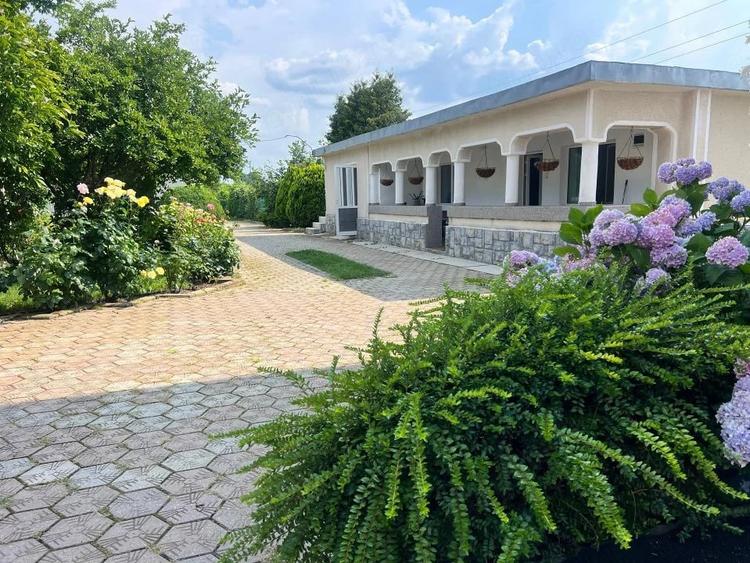 Casă cu 2 camere cu Teren 5000 Mp în Dârmănești
