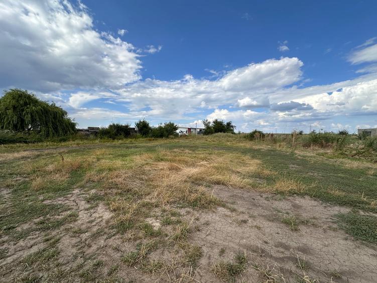Teren Construcții extravilan de 4000 mp, în Odobești