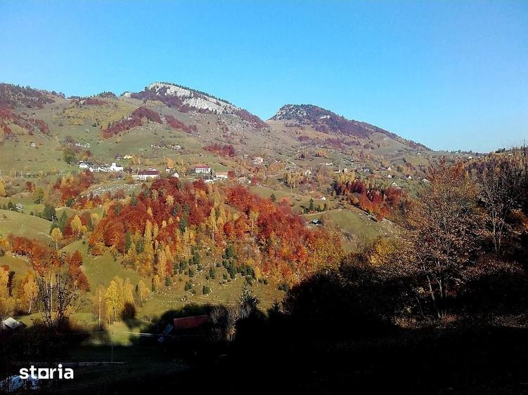Teren de 2969 mp, în Moieciu