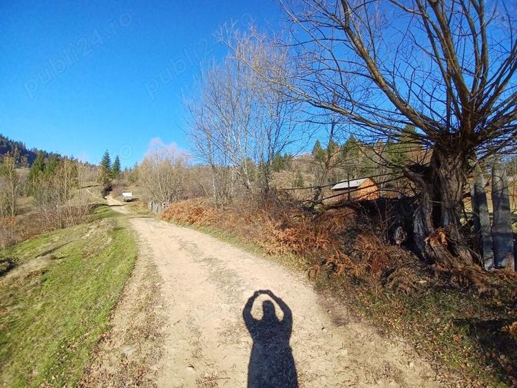 Teren de 8000 mp, în Vama