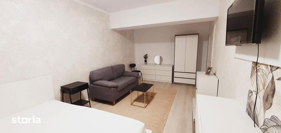 Persoana fizica apartament 1 camera Evergreen Towers Tatarasi - 4