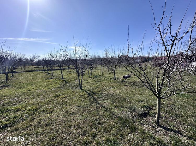 Teren de 600 mp, în Mischii