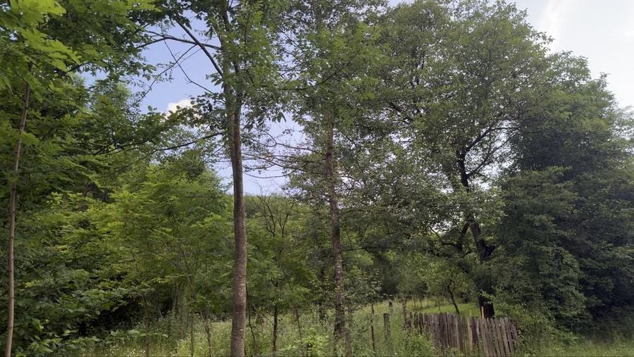 Teren de 778 mp, în Breaza de Sus