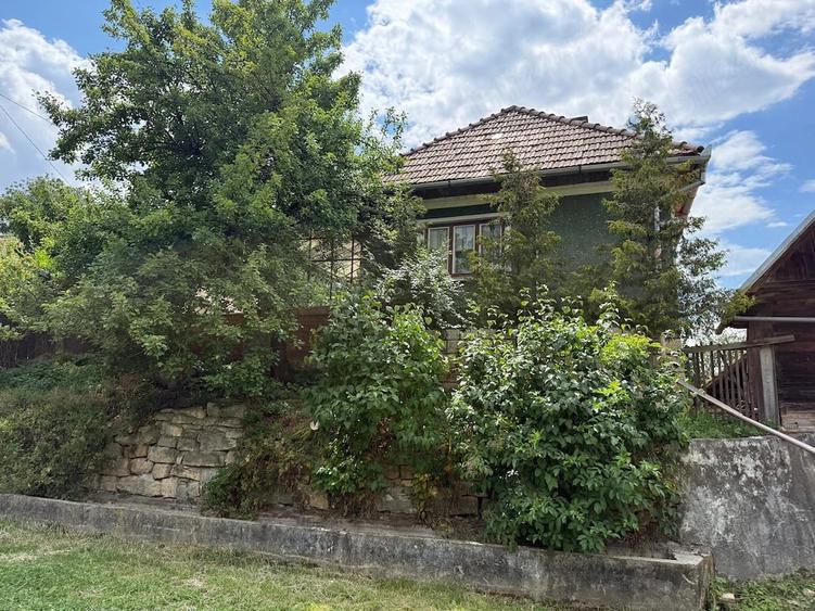Casă cu Teren 6500 Mp în Dretea