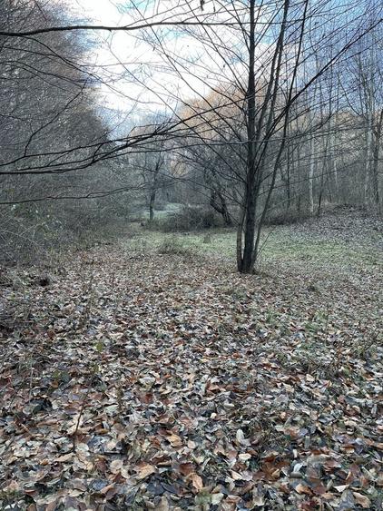 Teren de 15000 mp, în Valea