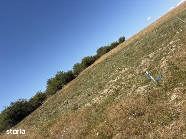 Teren de 500 mp, în Central