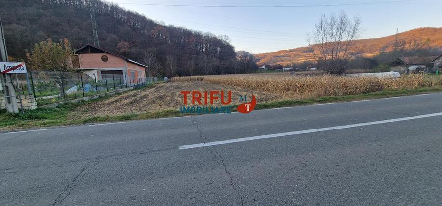 Teren Construcții intravilan de 1000 mp, în Ampoița