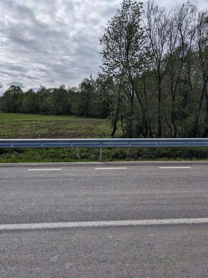 Teren în Copăcel