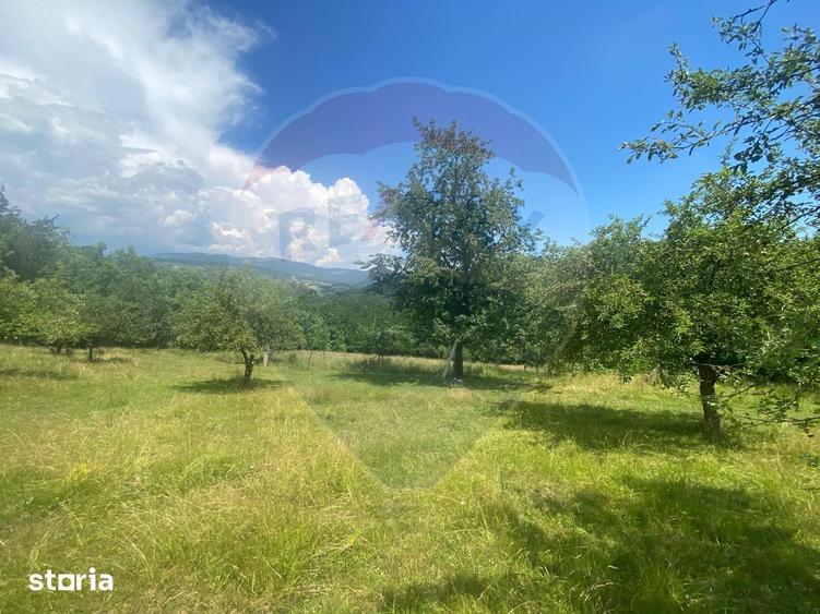Teren de 12458 mp, în Meteș