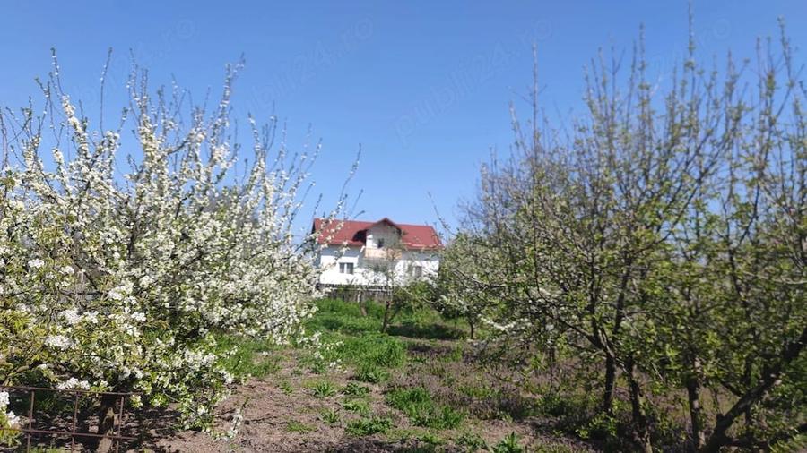 Casă cu Teren 4000 Mp în Moldoveni