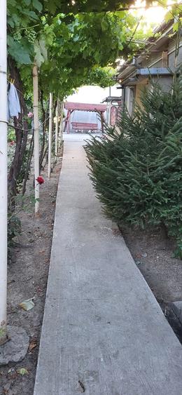 Casă cu 3 camere cu Teren 355 Mp în Chercea