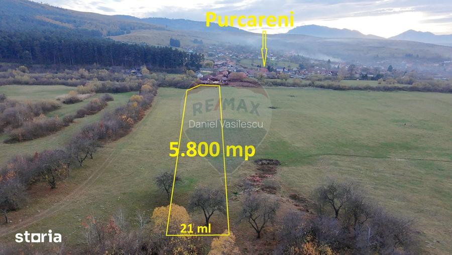 Teren 5.800 mp Purcareni curent, gaz, apa / Strada 30 decembrie