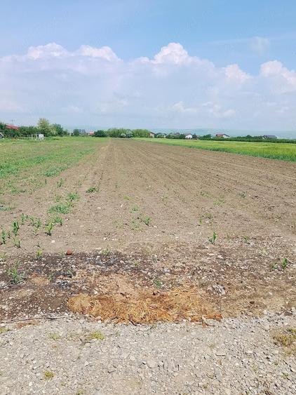 Teren de 5400 mp, în Baba Ana