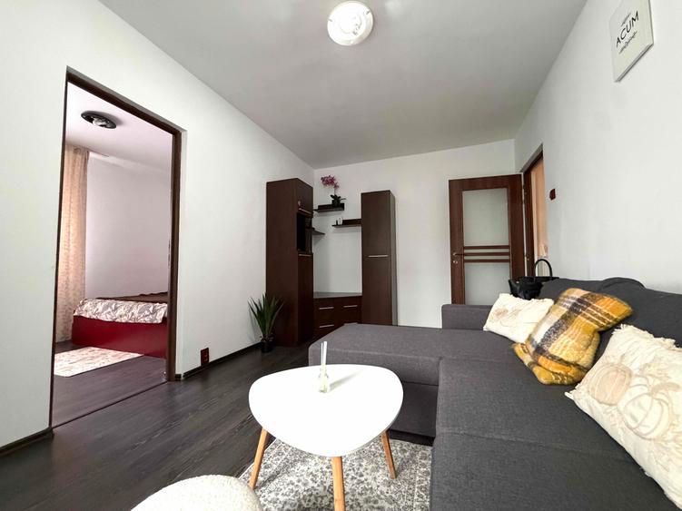 Apartament cu 2 camere semidecomandat în Alexandru cel Bun