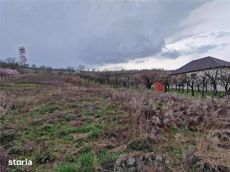 RECO Teren intravilan in Oncea, str. Prunilor - 1