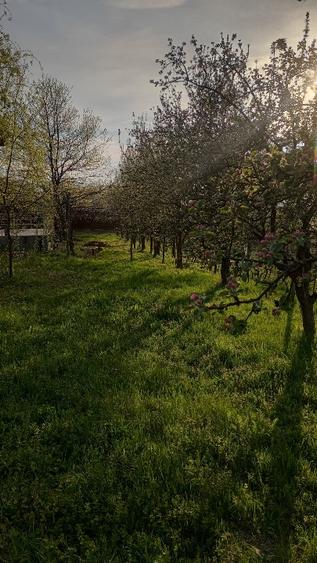 Casă individuală cu 3 camere cu Teren 2000 Mp în Bârnova