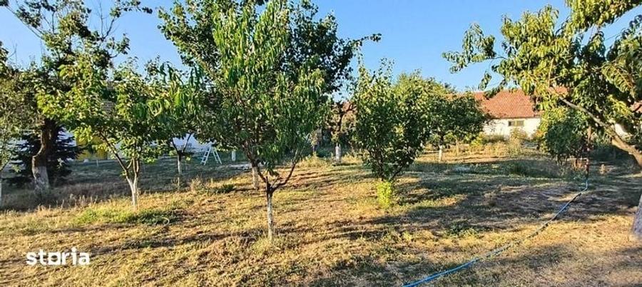 Casă cu 3 camere cu Teren 120 Mp în Bucovăț