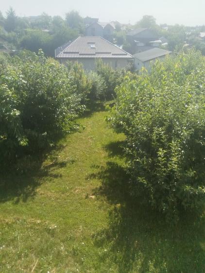 Casă cu 3 camere cu Teren 800 Mp în Brănești