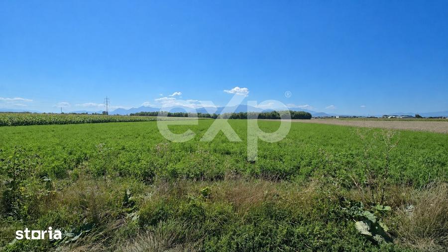 Teren de 17204 mp, în Stupini