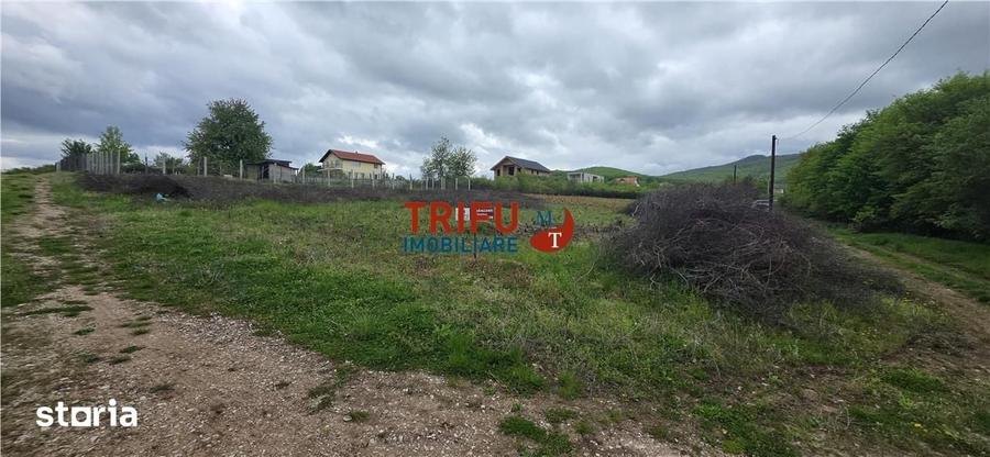 Teren de 884 mp, în Cetate