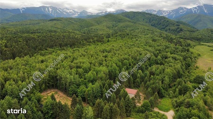 Spațiu comercial, în Porumbacu de Sus