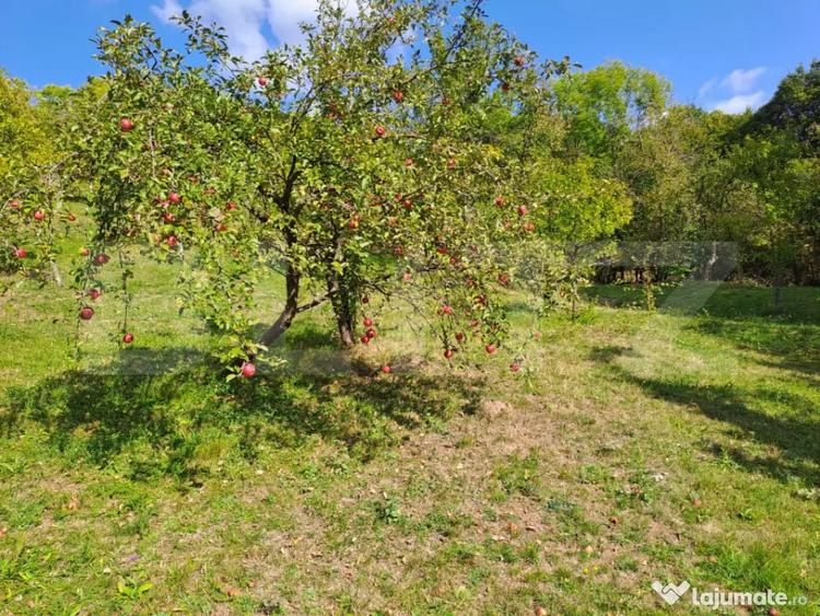 Casă cu 2 camere cu Teren 10000 Mp în Almașu Mare