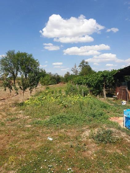 Casă cu 2 camere cu Teren 1500 Mp în Central