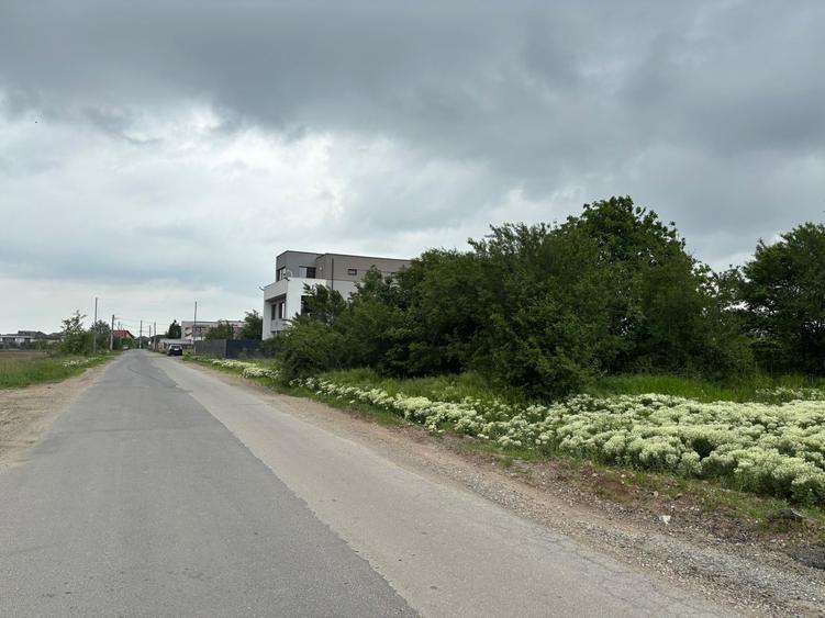 Teren 1000 mp în Mogoșoaia, la 5 minute de pădure - 13
