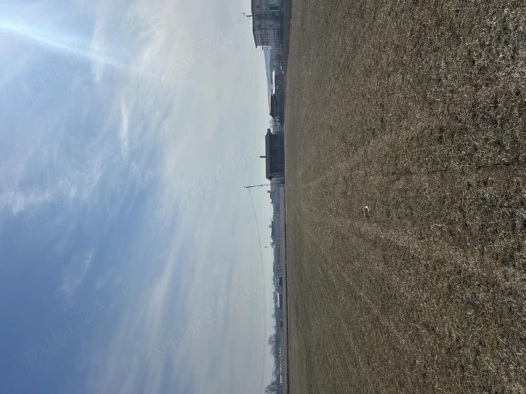 Teren de 1400 mp, în Șard