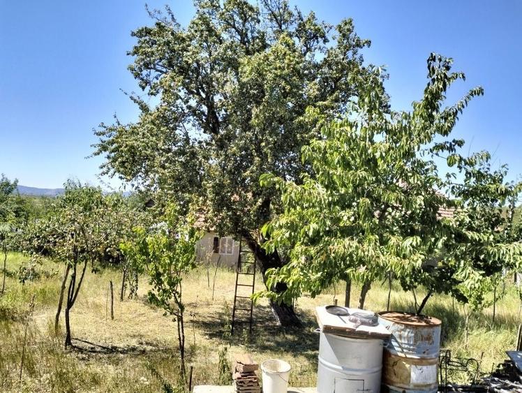 Casă cu 3 camere în Joia Mare