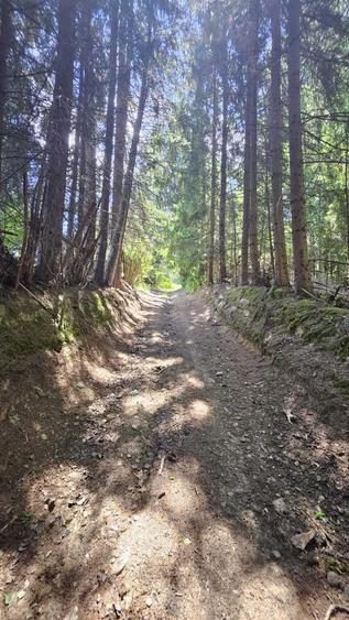 Teren de 3436 mp, în Ceahlău