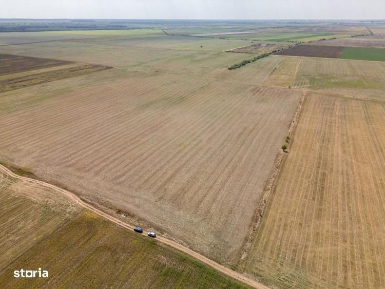 Dascalu - Teren Intravilan 7500 Mp, Investitie! - 2