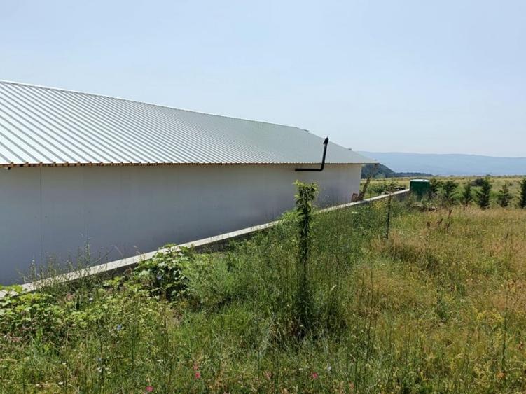 Teren agricol extravilan de 581 mp, în Exterior Nord