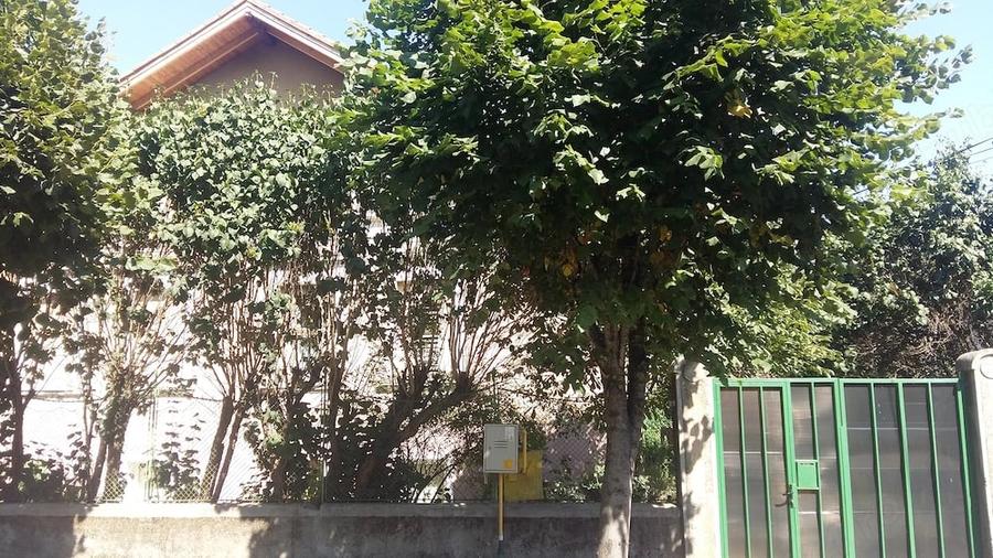 Casă cu 8 camere cu Teren 650 Mp în Grigorescu