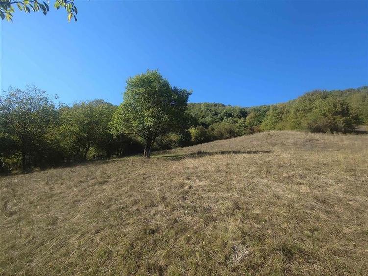 Teren Construcții extravilan de 14075 mp, în Crișcior