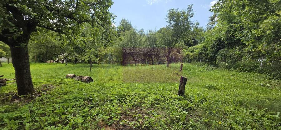 Cabana cu 5 camere de vanzare in Provita - 29