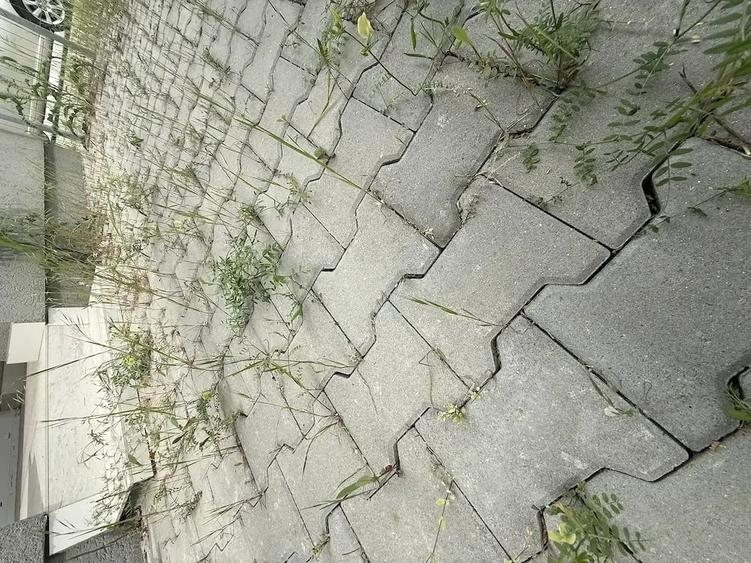 Apartament cu 2 camere DECOMANDAT,GRADINA la doar 3 minute de magazinul Penny Giroc - 1